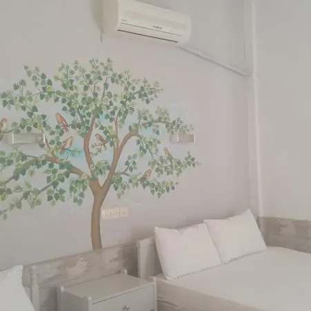 Veneti * نيوس بيرغوس