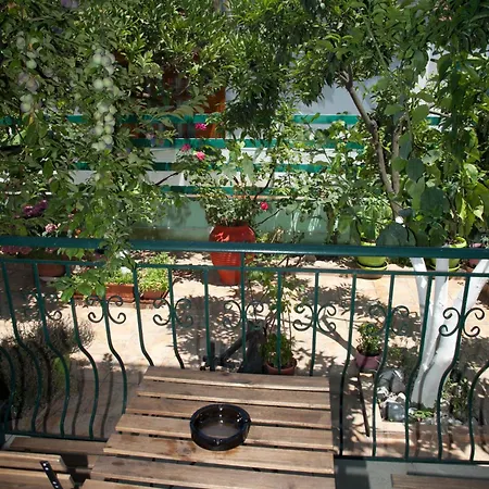 Veneti * نيوس بيرغوس